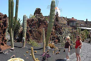 Lanzarote - Mala