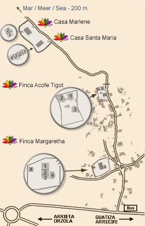 Lanzarote, Mala, Lotus del Mar