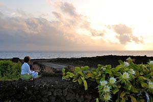 Lotus del Mar auf Lanzarote - meditativ
